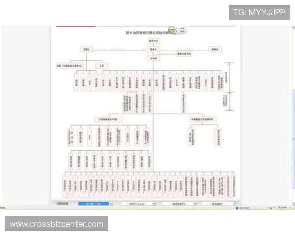 ob视讯官网用户注册流程详细介绍指导帮你快速完成注册无忧使用平台资源